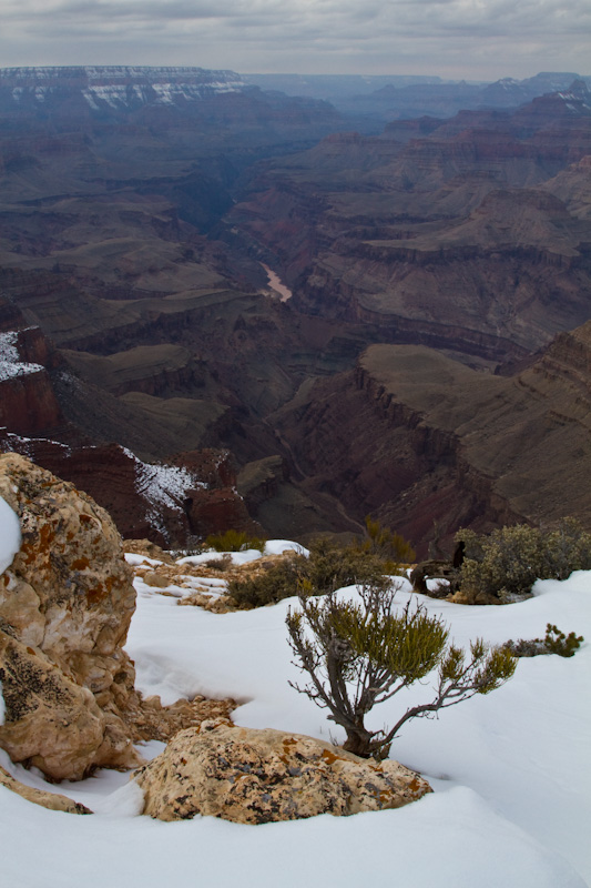 The Grand Canyon